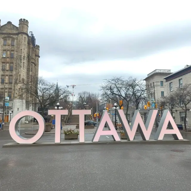 Maple Leaf Viewing in Ottawa