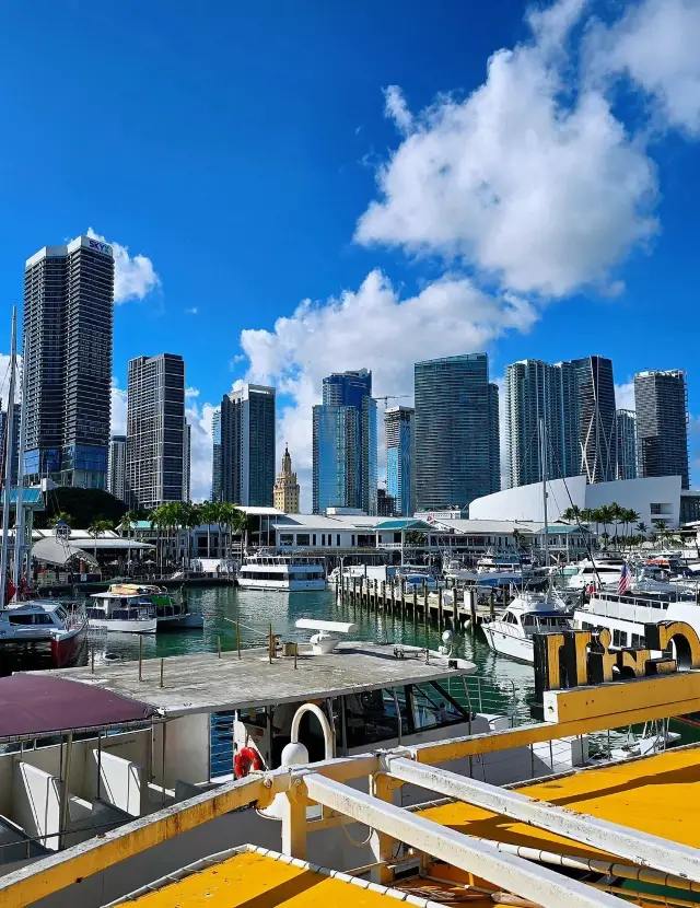 The Magic of Miami: My Ultimate Travel Companion
