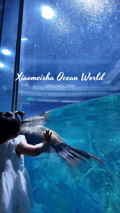 Xiaomeisha Ocean World 🪼 | Shenzhen, China 🇨🇳

I took my toddler to an aquarium for the first time, and Xiaomeisha Ocean World was such a great place for her first experience! 🥹💙

There was so much to see, including colourful fish, jellyfish, penguins, sharks and even polar bears. 🐠🪼🐧🦈🐻❄️ It was also my first time seeing a polar bear in person!

The aquarium also has a robot shark, 5D immersive experiences, shows and mermaid performances, so there’s plenty to keep both kids and adults entertained.

A great option for a family day out in Shenzhen, but I think it would also make a fun date day! 💙

📍 小梅沙海洋世界 | Xiaomeisha Ocean World
Shenzhen, China

#Shenzhen #XiaomeishaOceanWorld #ShenzhenTravel #ChinaTravel #FamilyTravel