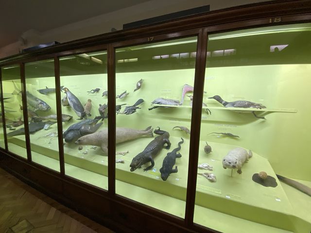 Cultural Oasis: Horniman Museum's Embrace 🏛️