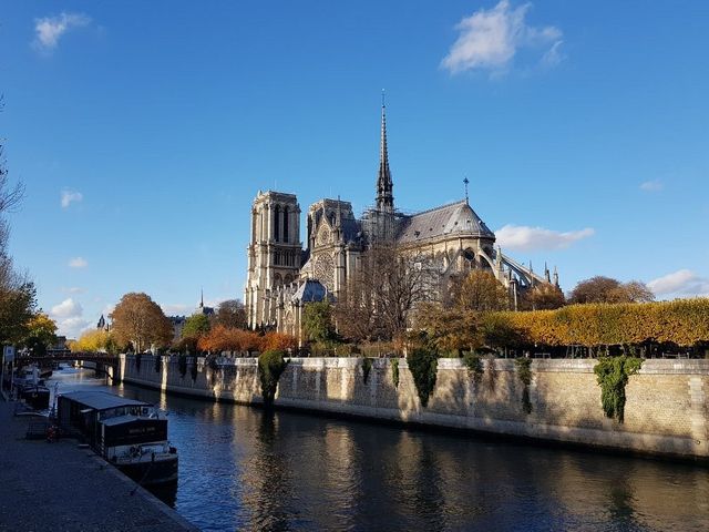City of Lights and Love