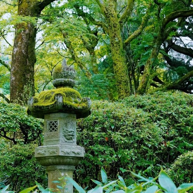 ♨️箱根富士屋♨️百年歷史💎酒店猶如博物館🎍