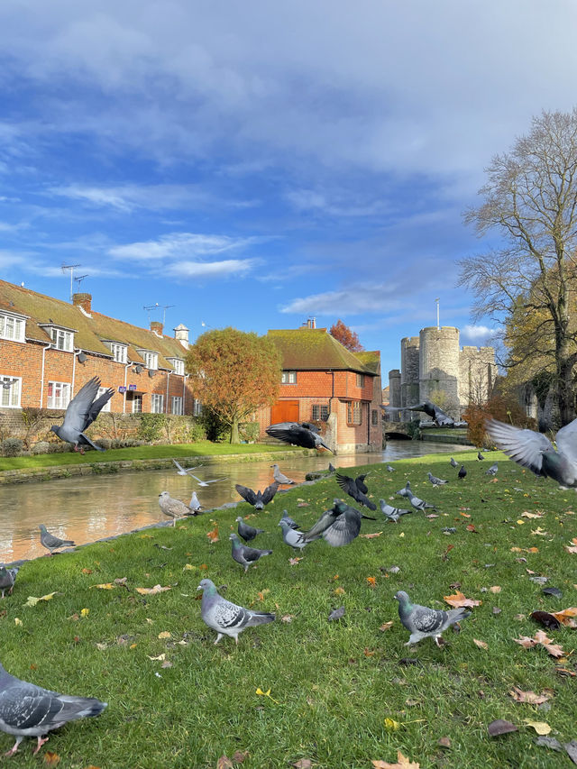 Canterbury UK 🇬🇧 