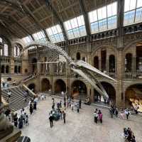 Natural History Museum 🇬🇧