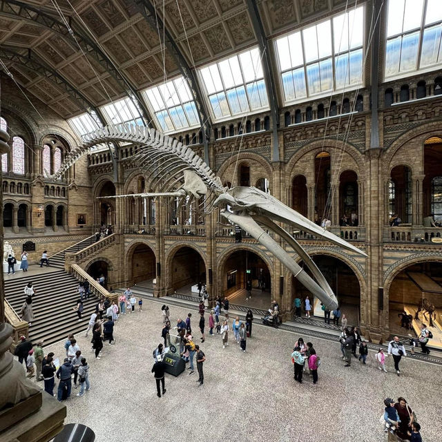Natural History Museum 🇬🇧