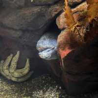 Up-close and personal with the marine world!