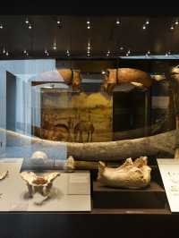 Madrid | Discover the archaeology in Madrid museum