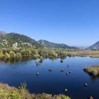 Lake Skadar, have you been there?