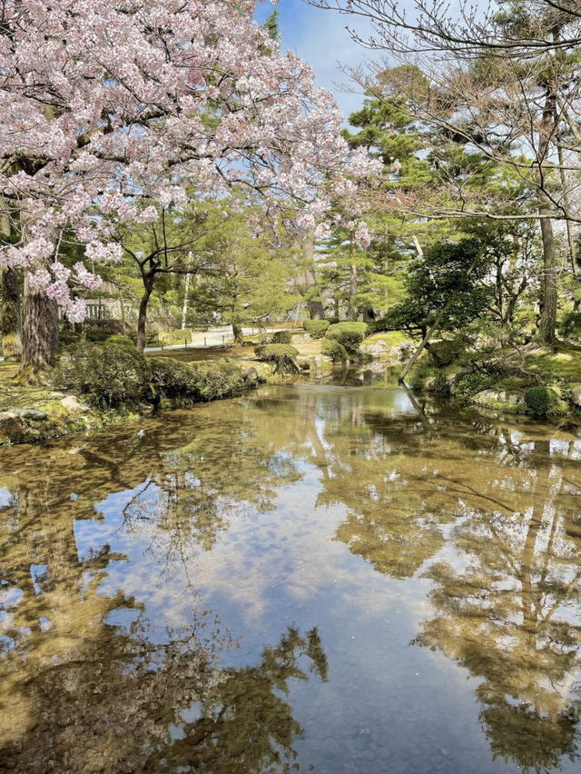 【金沢：兼六園】金沢旅なら外せない、兼六園で時間を忘れる癒しの散策🍃🚶