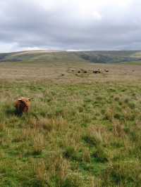 🚴‍♂️ Wild Wales on Two Wheels: Welshpool to Aberystwyth 🚴‍♀️