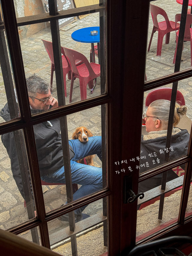 프랑스 사람들이 은퇴후 살고싶어하는 도시 안시🇫🇷