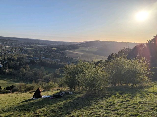 The glorious view from atop Boxhill