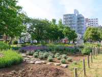 昭和沼公園