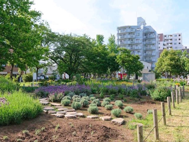 昭和沼公園