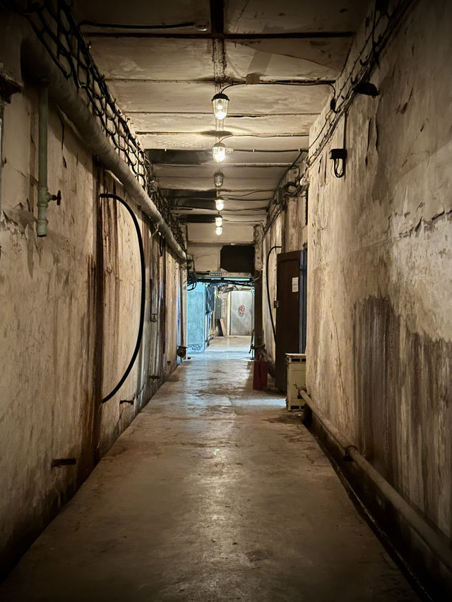 Hidden beneath the city: the mystery of Bunker 703!