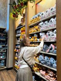 Disneyland Anaheim: The Magic You’ve Been Waiting For