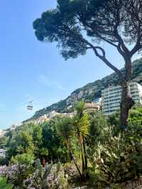 A walk around the Botanic Gardens Gibraltar🇬🇮 