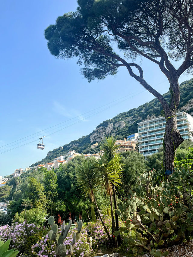 A walk around the Botanic Gardens Gibraltar🇬🇮 