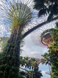 Singapore pros and cons 