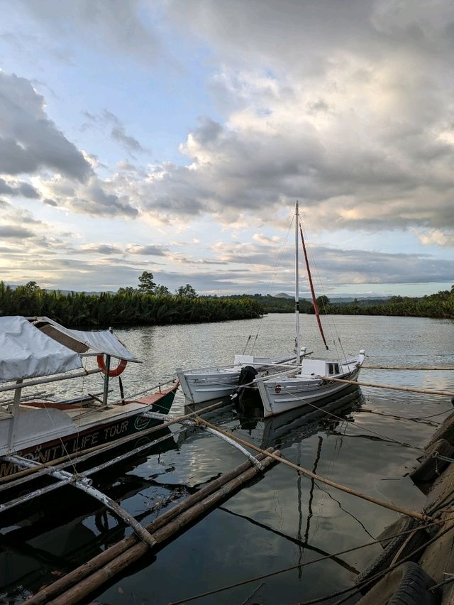 Philippines, Two Day Trip to Bohol Island