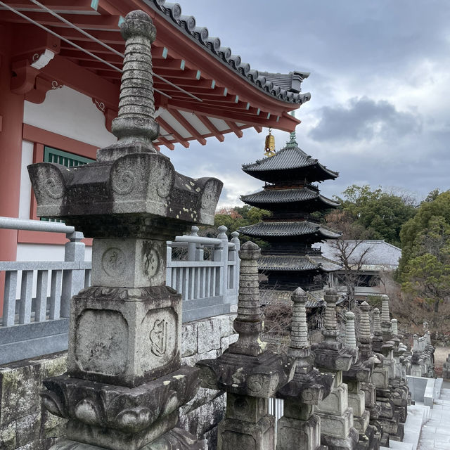 🚗 Ride-Sharing Travel in Tokyo: Is It Worth It? Here’s What You Need to Know! 🇯🇵✨