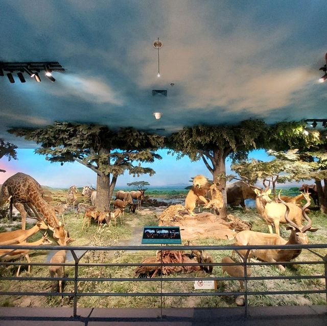Dinosaurs, nice exhibitions in Natural History Museum of China 
