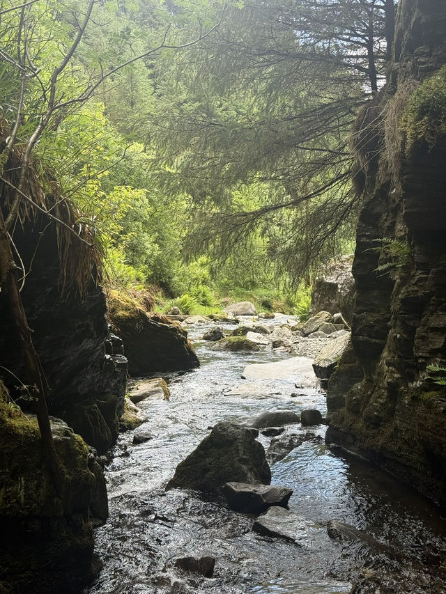 Spout force 