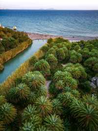 🌴 Preveli Palm Beach: A Unique Oasis Where River Meets Sea 🇬🇷✨