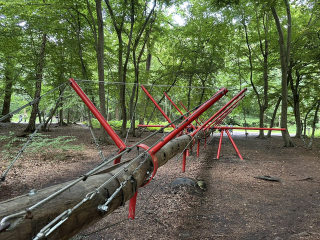 Art sculptures lost in a forest