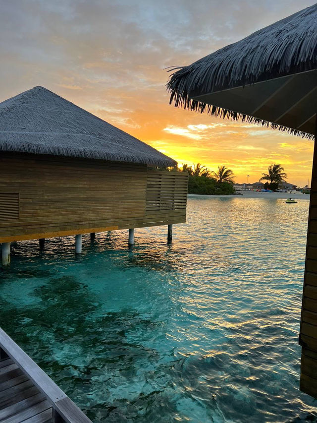 Cocoon Maldives — Where Modern Luxury Meets Barefoot Paradise