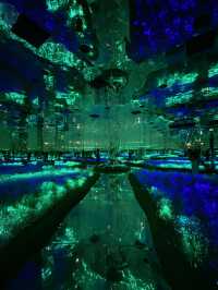 Magnificent AYA Universe in Dubai