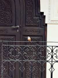Hidden Calm in the Medina