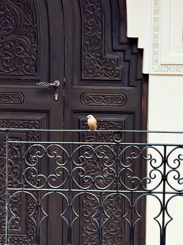 Hidden Calm in the Medina Hidden Calm in the Medina