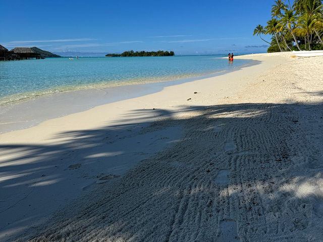 🌴 Bora Bora Bliss: A Tropical Paradise Worth Every Moment