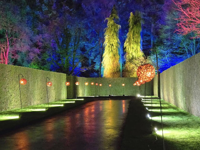 At Christmas, RHS Garden Rosemoor offers a magical nighttime garden experience. 🎄✨🌿 