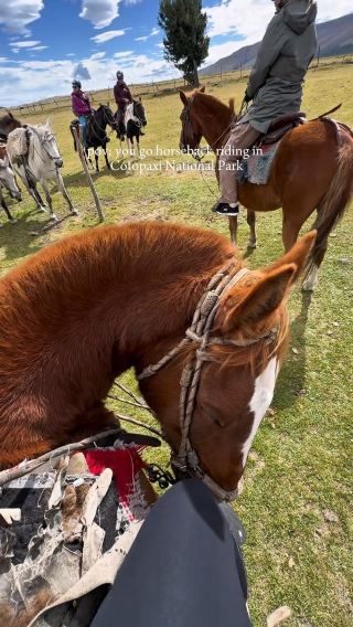 pov: you go horseback riding in Cotopaxi National Park