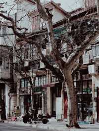 Shanghai French Concession🌇