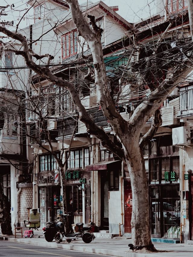 Shanghai French Concession🌇