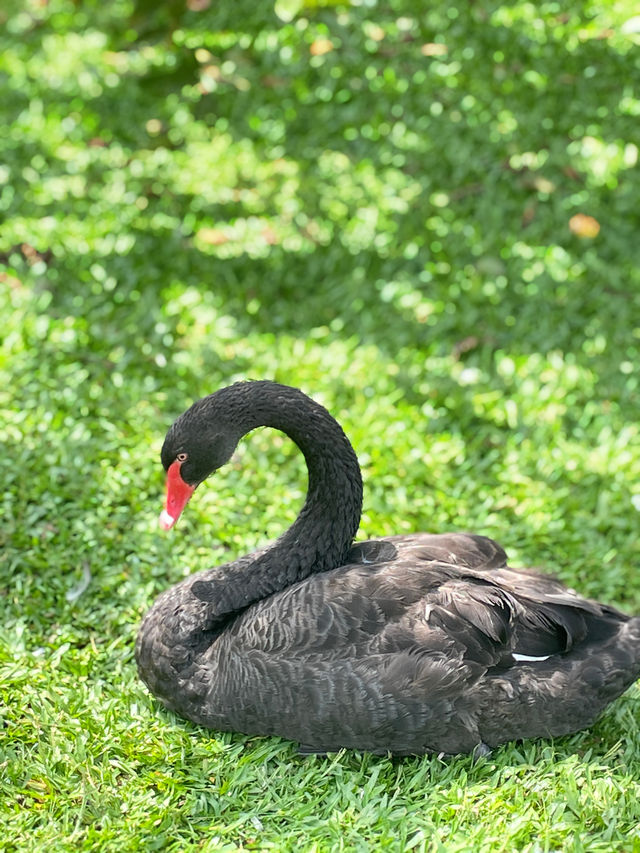 São Paulo · Ibirapuera Park