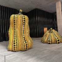 Must Visit in Hong Kong 🇭🇰 M+ Museum 