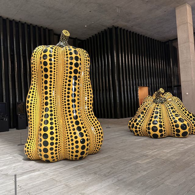 Must Visit in Hong Kong 🇭🇰 M+ Museum 