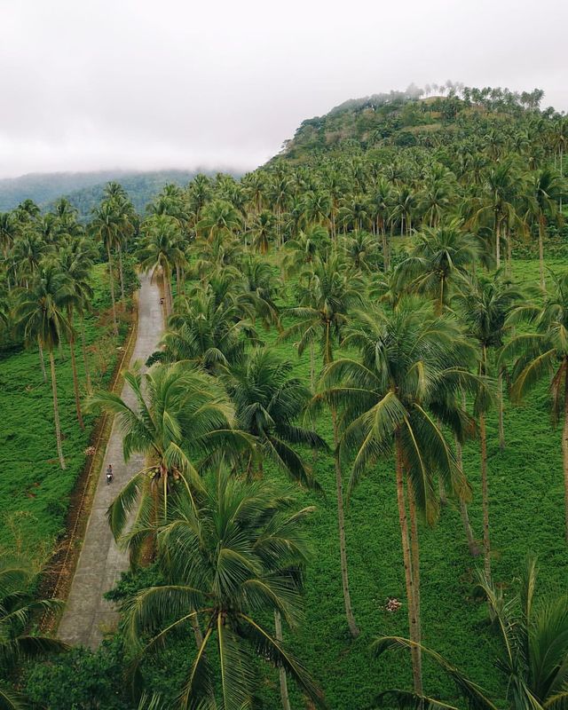 Camiguin's Green Oasis 🌴🌿 Uncovering the Love for My Island Home