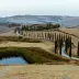 EliasHolm