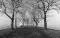 hudsontrip_