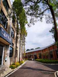 探訪自貢市南華鋸條廠舊址