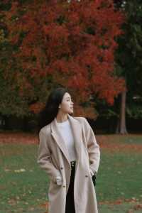 溫哥華史丹利公園攻略，教你玩出不一樣的風景