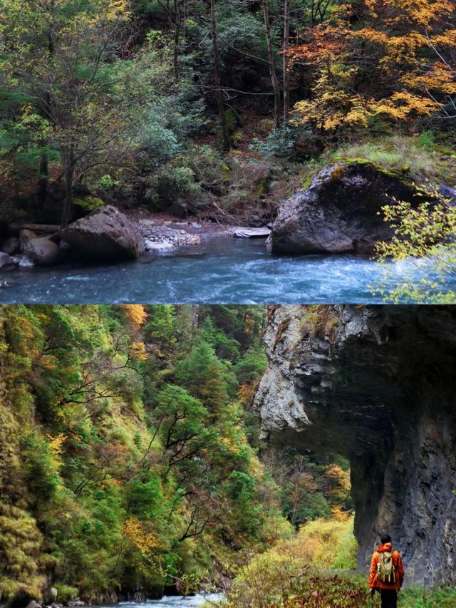 人間忽晚，山河已秋--川西彩林