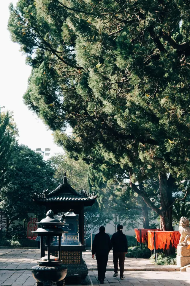 上海を発見｜上海一日旅行、秋霞圃の紅葉と庭園を見に行きます