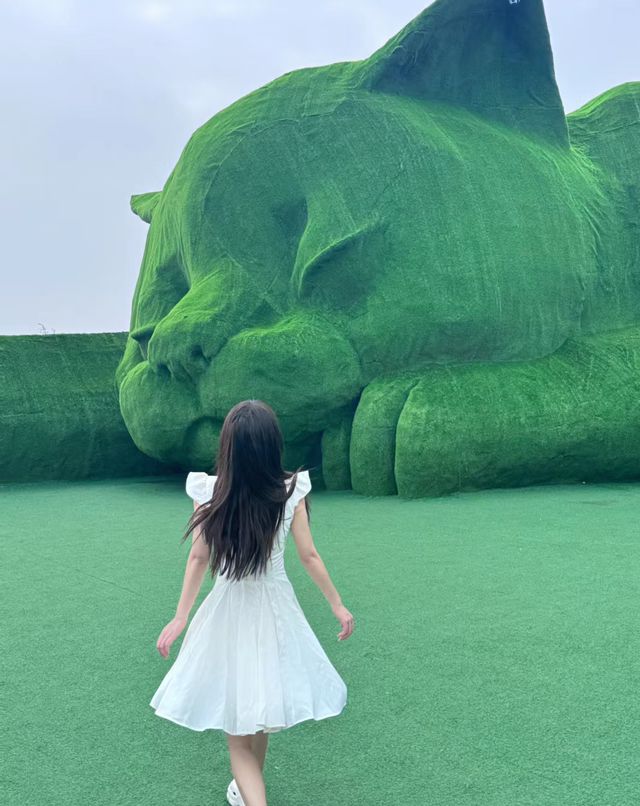 流浪不是小動物的符號，一起去肥貓島吧