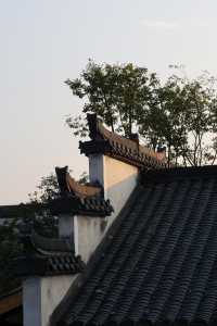 江西婺源丨婺源秋日惬意3天2晚遊